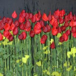 Red roses