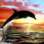 Dolphin Jump