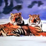 Tigers