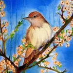 Blue Bird