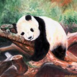 Sleepy Panda