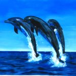Dolphins