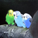Three birds