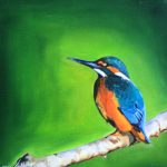 Natures Gift