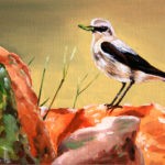 Sparrow